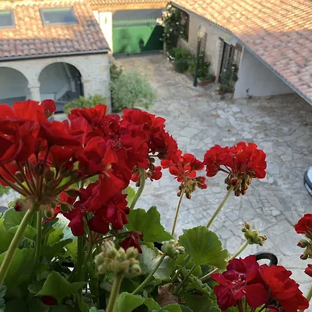 Guest house Logis De La Roche - Niort -