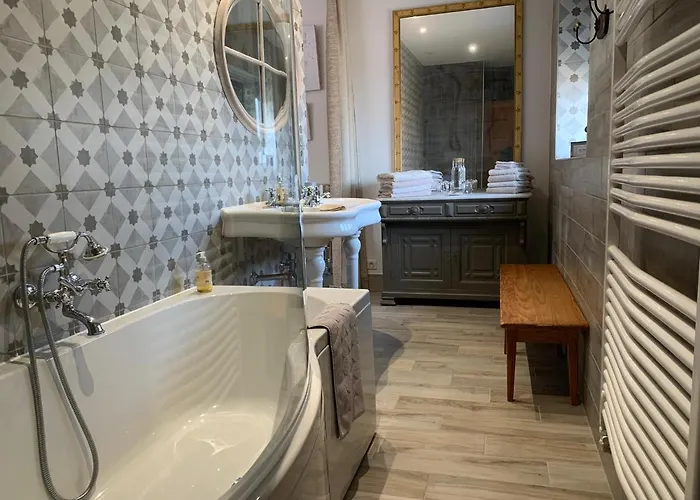 Logis De La Roche - Niort - Pensión