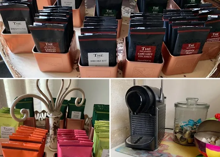 Logis De La Roche - Niort - Pensión