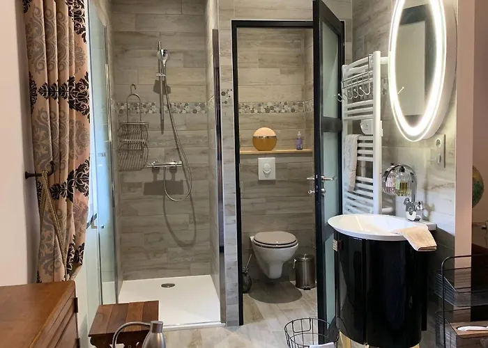 Logis De La Roche - Niort - Pensión 3*