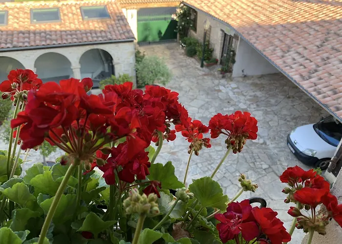 Pensión Logis De La Roche - Niort -