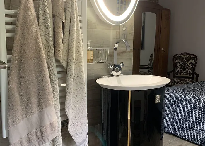 Logis De La Roche - Niort - Pensión 3*