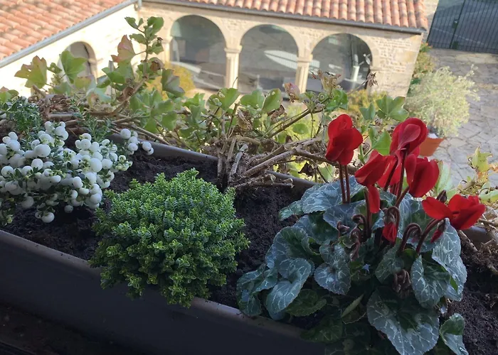 Logis De La Roche - Niort - Pensión Chauray